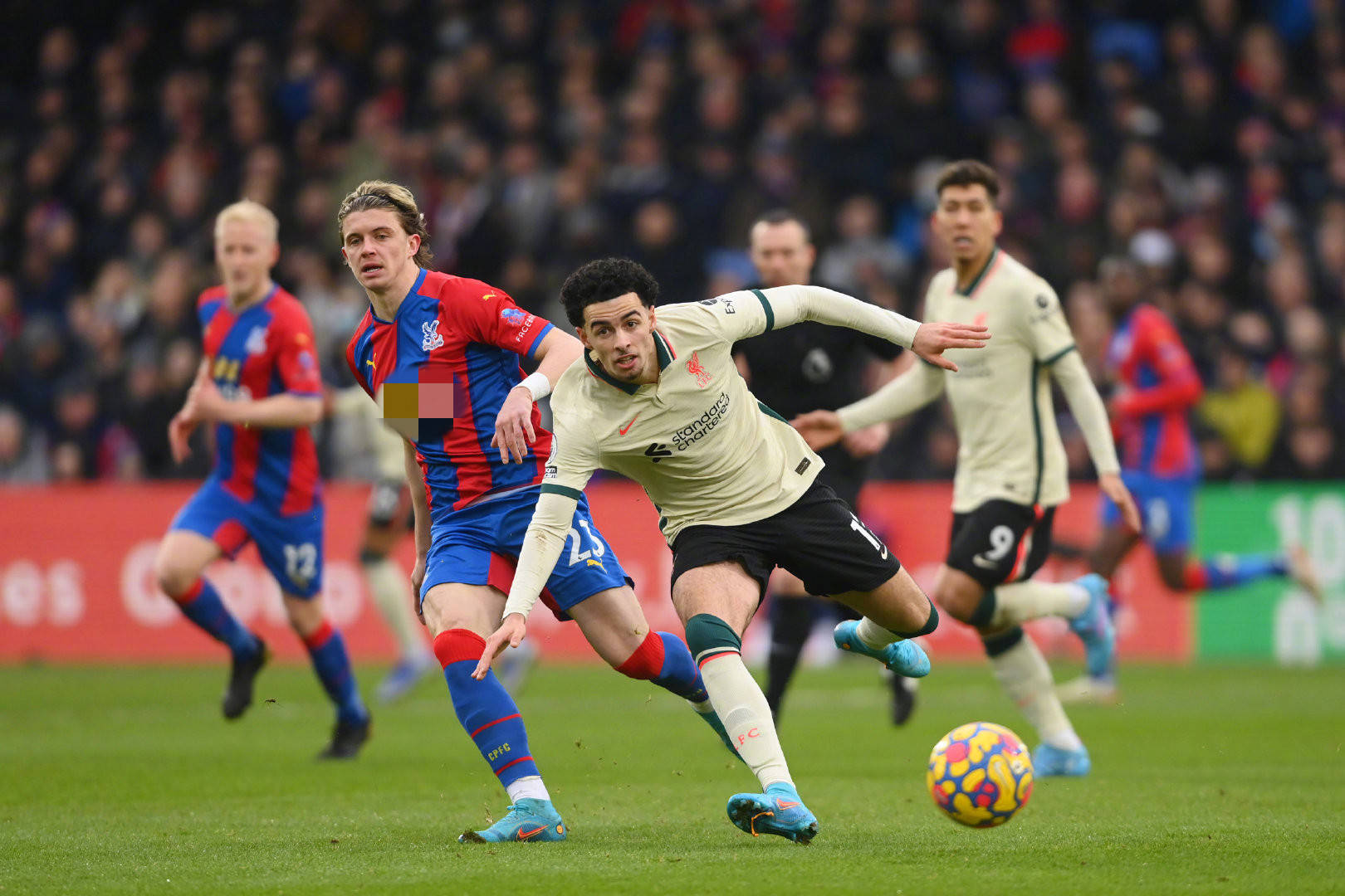 若选择李苑 若选择李苑